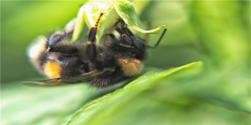 牛年2021年1月3日宜装修,这天是最吉利的日子