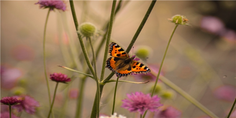 2021年5月8日装修好不好,这天是黄道吉日吗