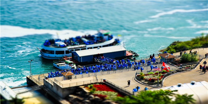 2020年生肖属兔人农历十一月和十二月宜订婚黄道吉日