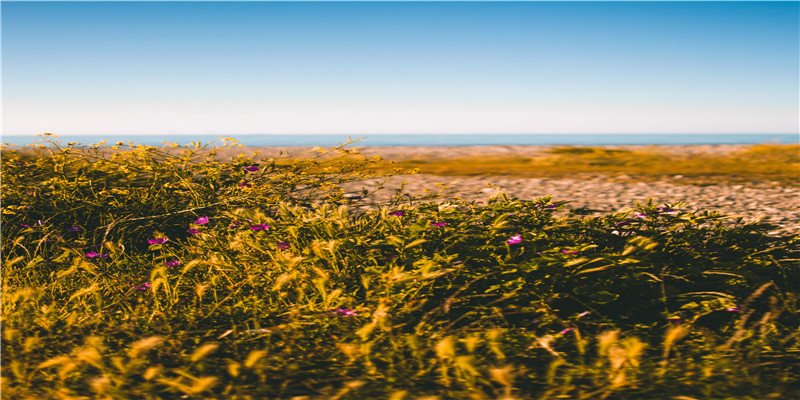 农历2020年六月开业黄道吉日，八天开业吉日供您选择