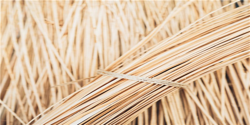 1613527040998403.jpg 2019-12-26_153708.jpg