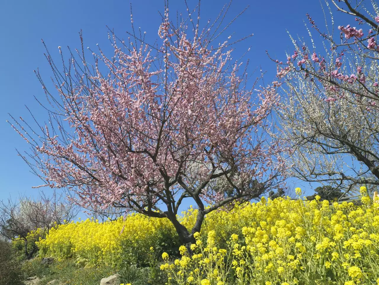 男女爱了以后运势会互相影响 会后悔并决定切断所有联系