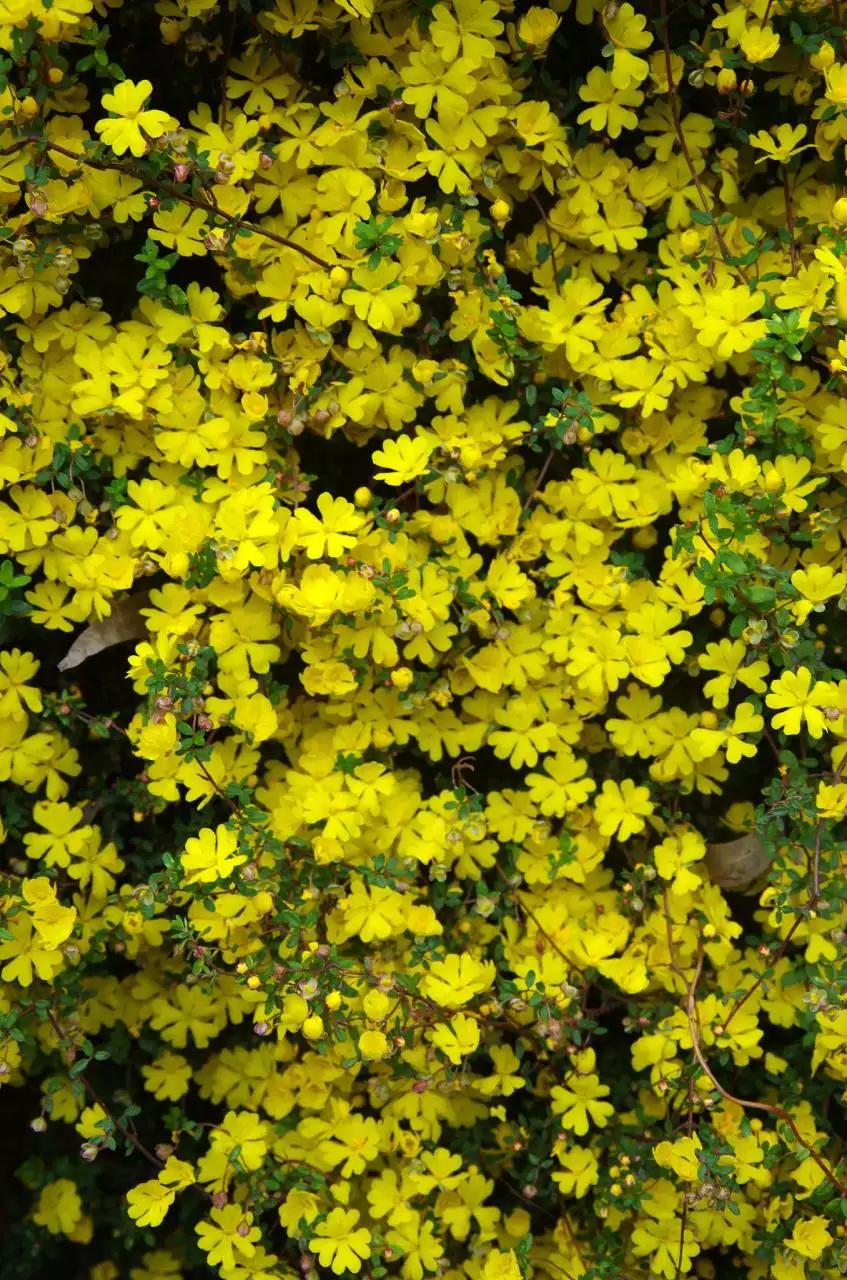 免费算正缘桃花何时到 免费测何时动婚