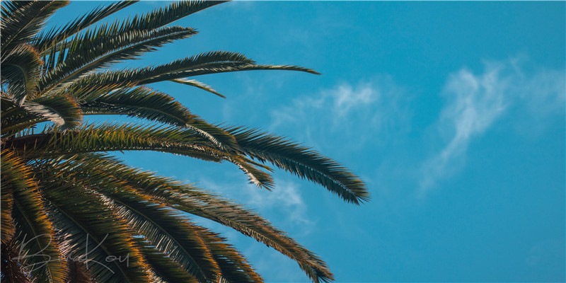 吉日查询:2021年4月12日 农历三月初一开工吉利吗