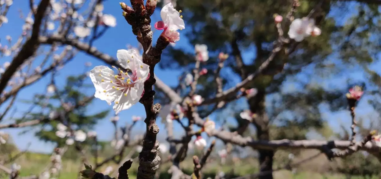 月20日出生的人很可怕