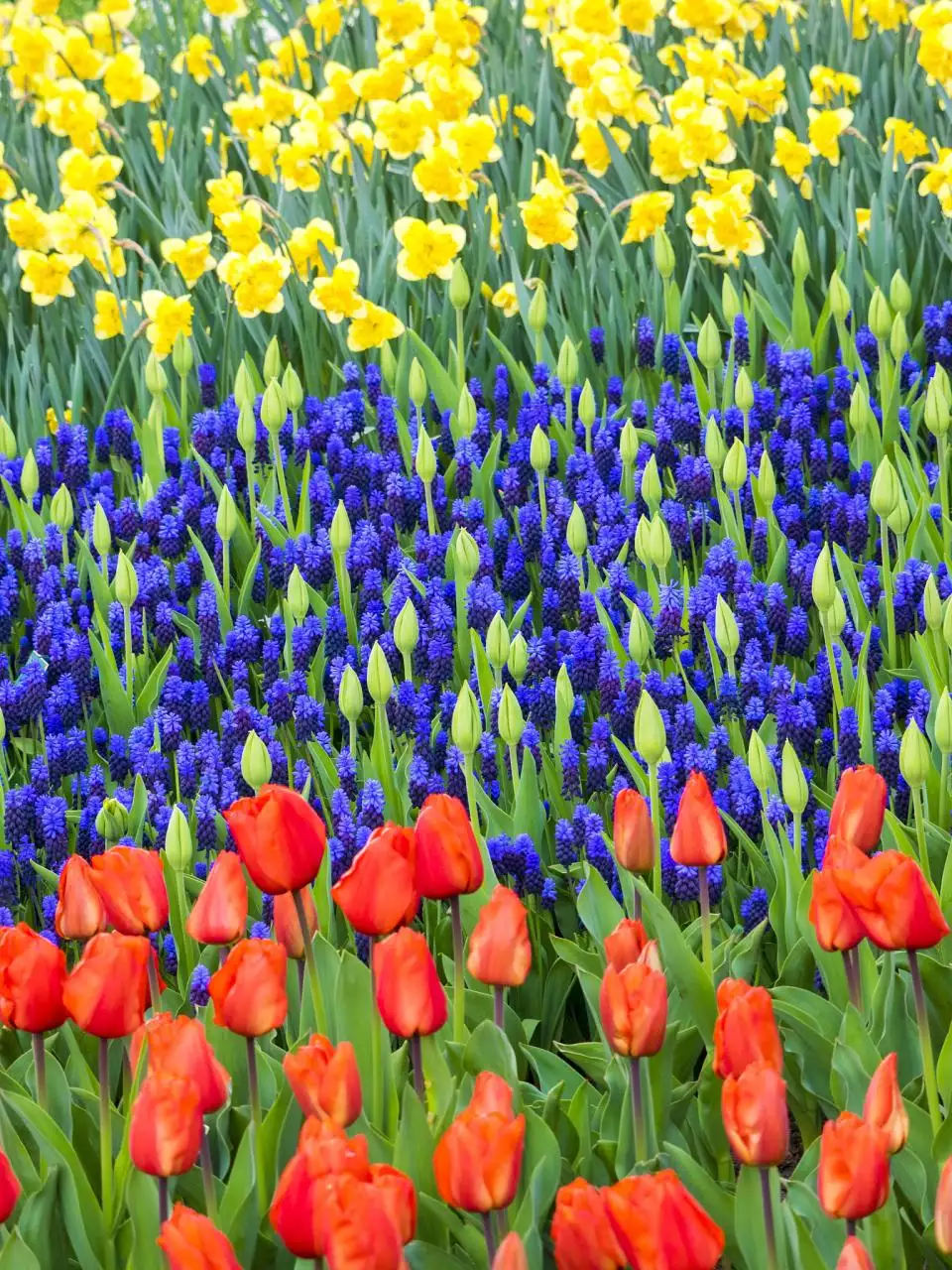 几月出生才是七杀命格 七杀格是几等命