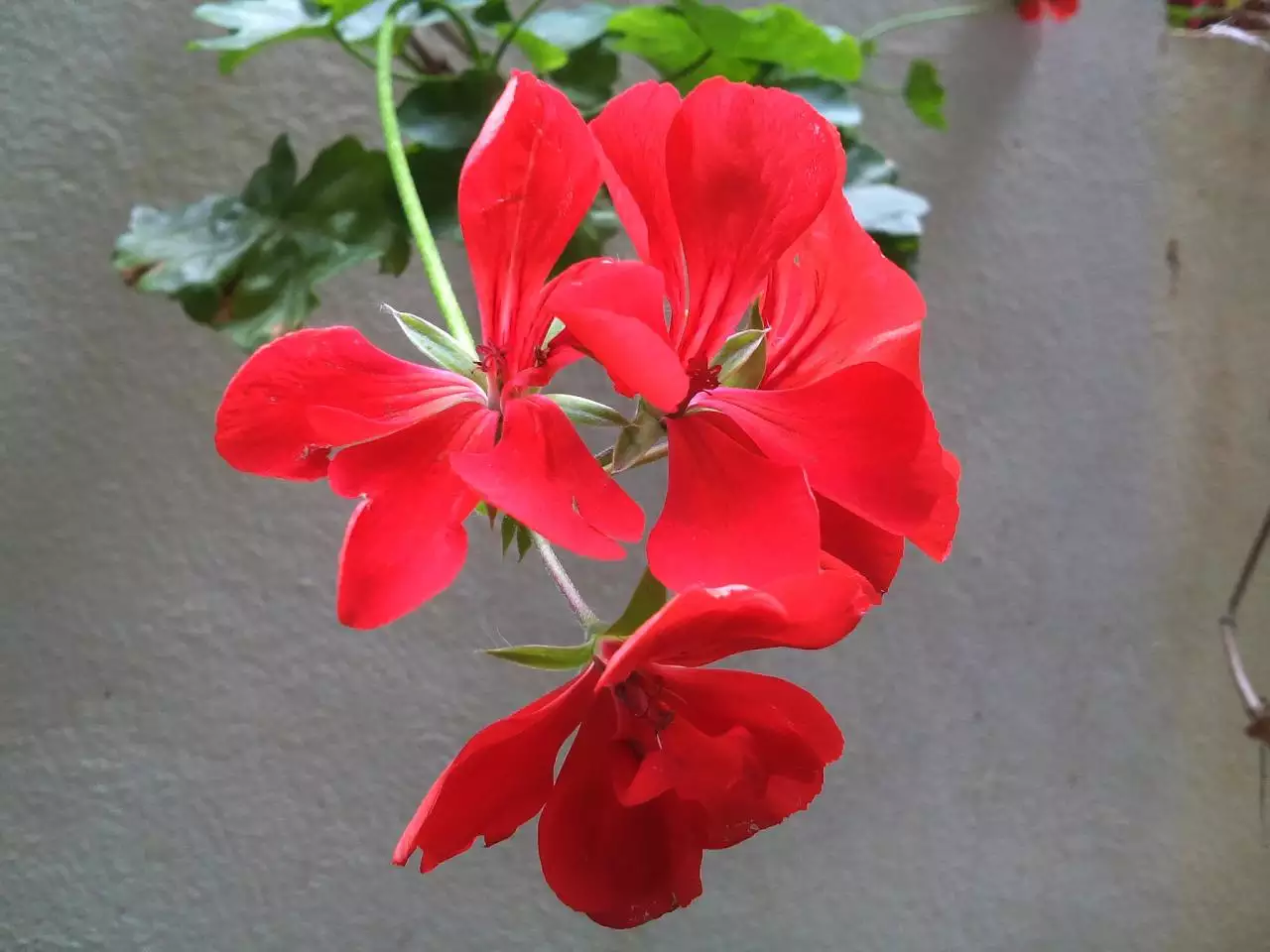 免费八字看配偶出现时间正缘 免费算个人姻缘何时到