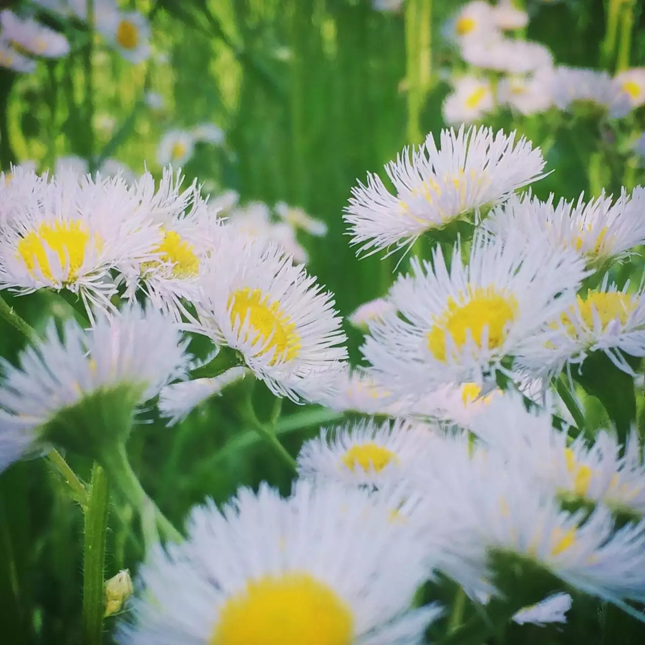 算事业运势2022免费 免费测算2022年运程