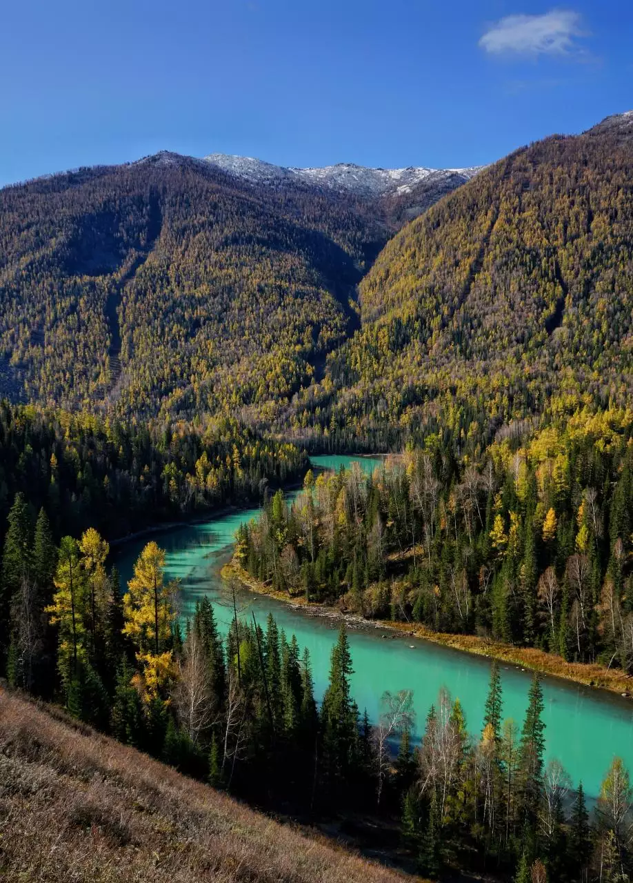 查一下自己的财运如何 我想算算自己的财运