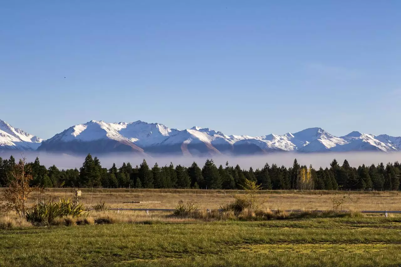免费测一下自己的婚姻如何 输入姓名查一生婚姻