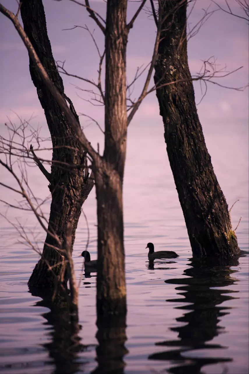 最准八字免费算命事业财运 看姻缘准的大师免费