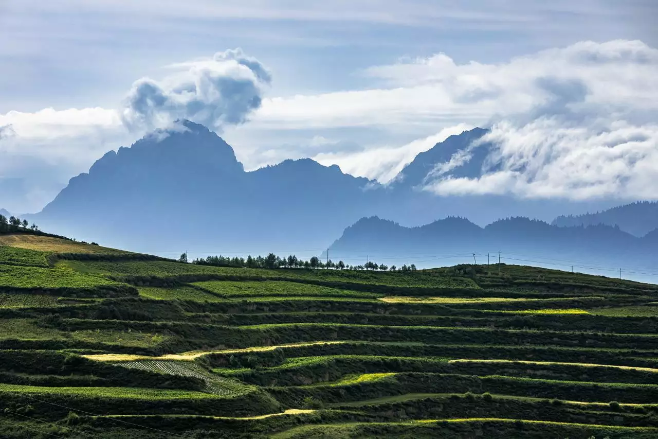 免费算命财运最准的免费 免费算算我的命运和财运