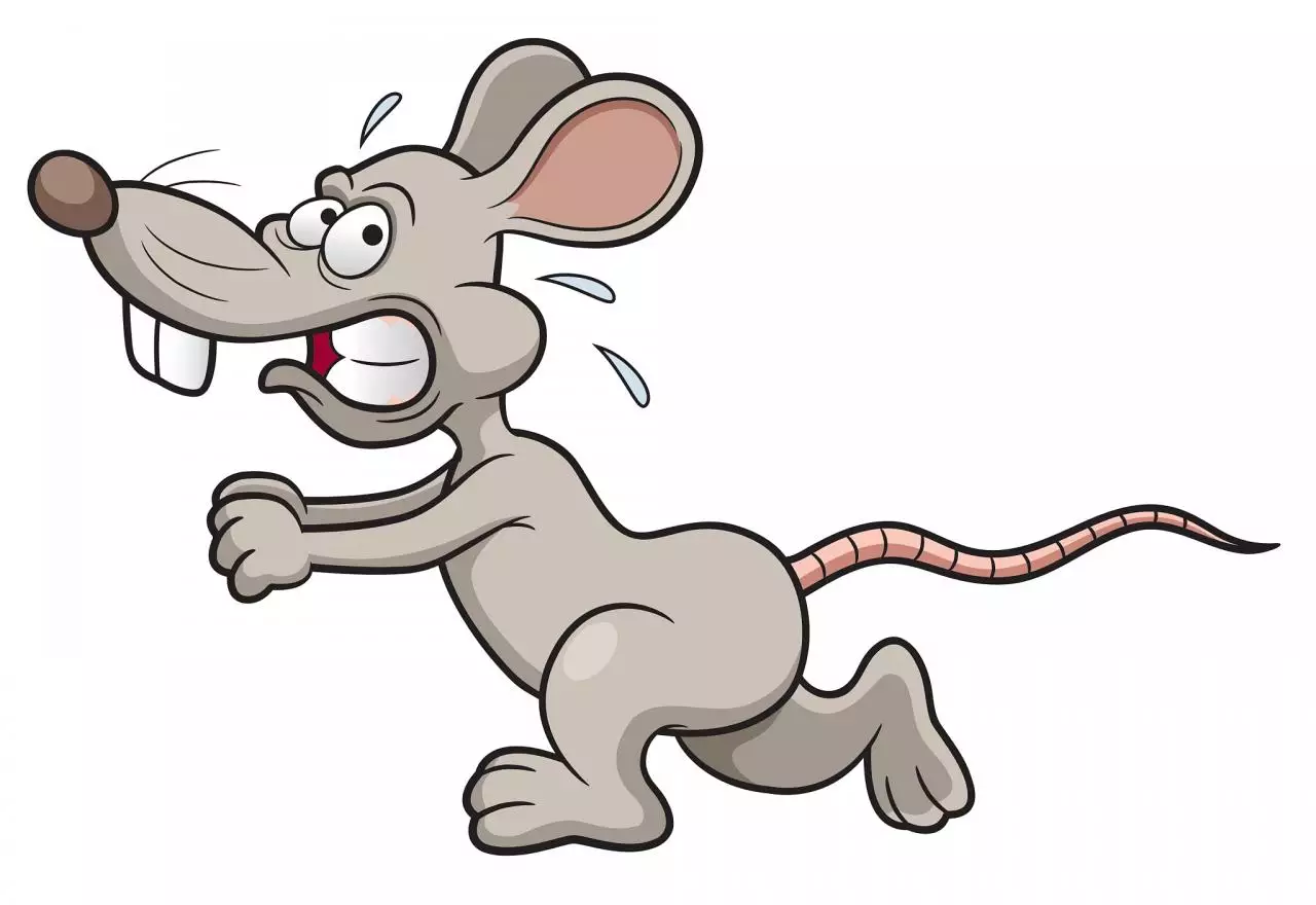 属鼠的6合贵人 属鼠的六个合生肖运势