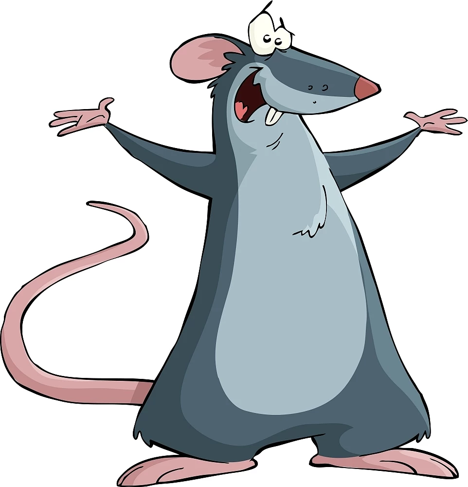 6年属鼠25岁有一灾