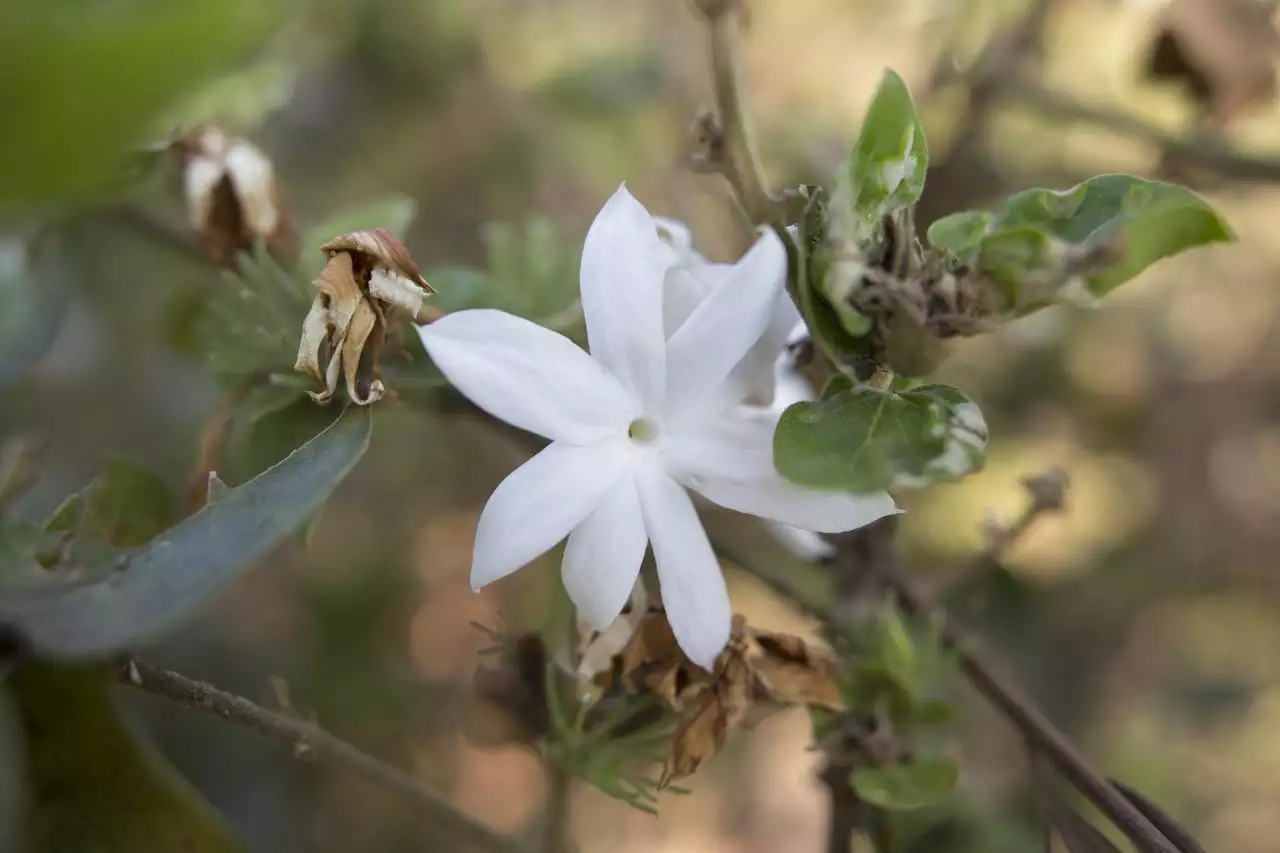 最聪明的第三者让男人愧疚 女人三招抓住男人心