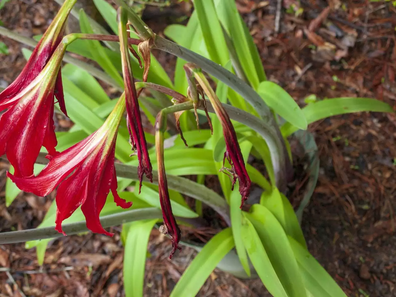 最精辟人生短句 看清人性的哲理短句