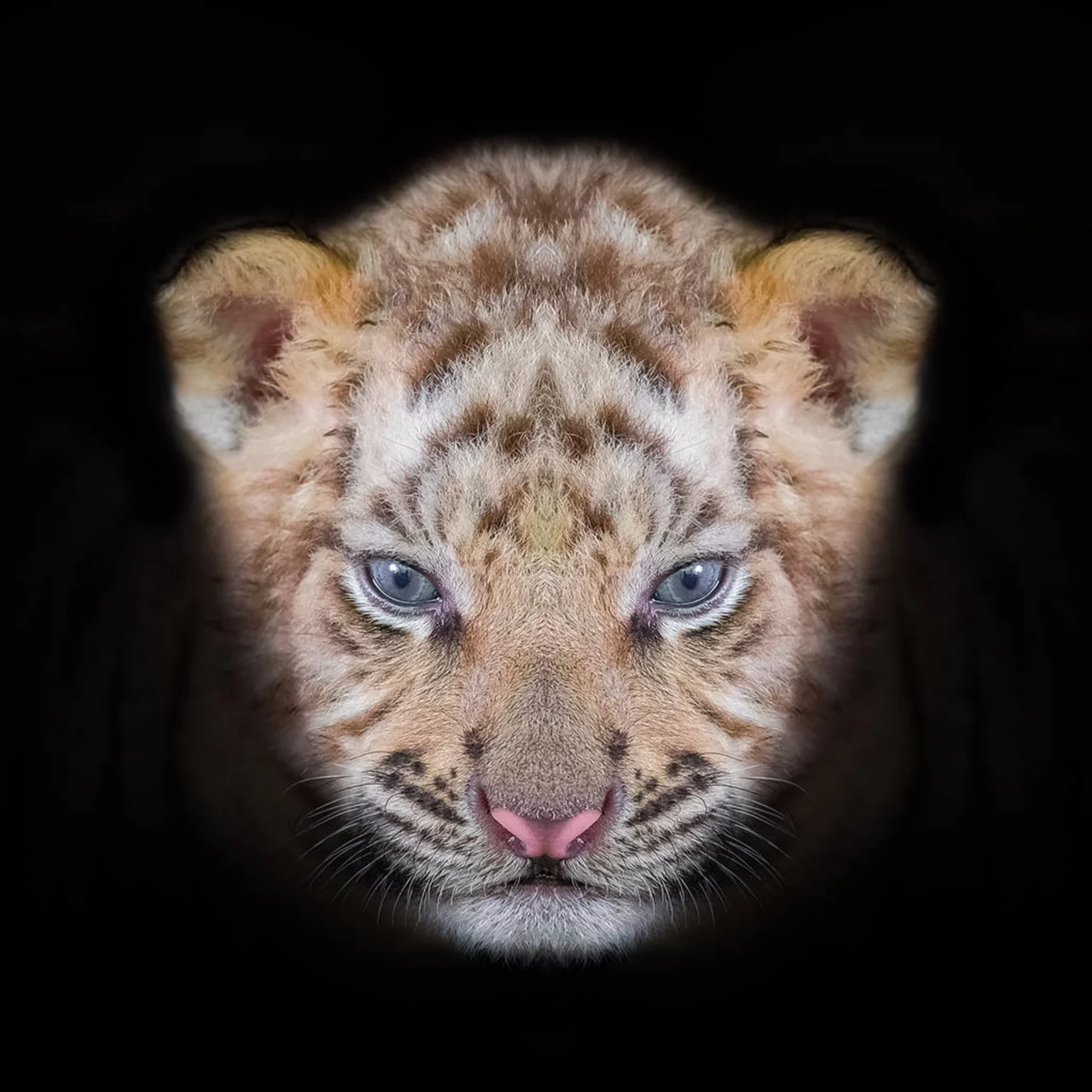 022年74属虎女一生劫数