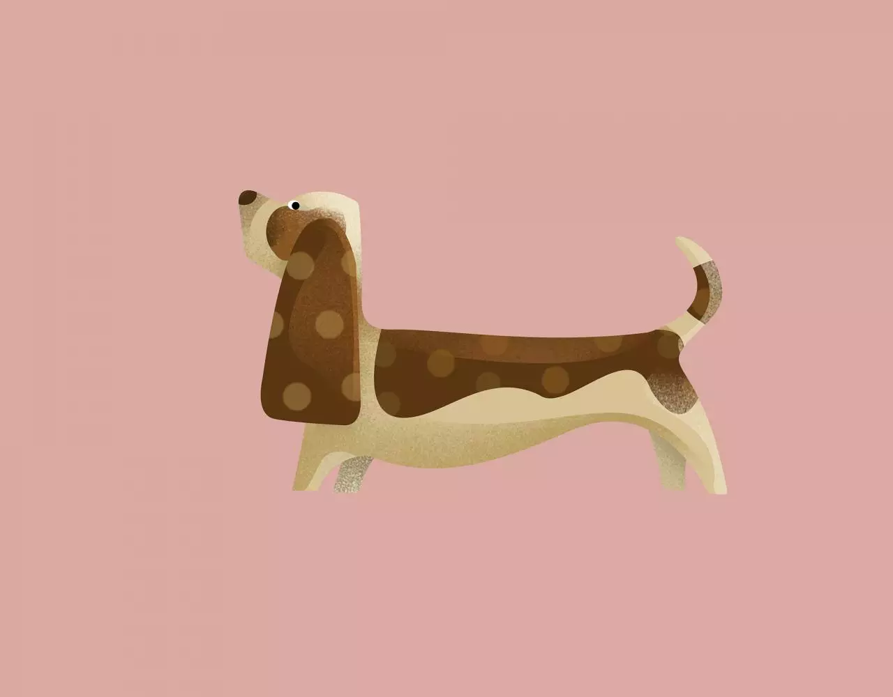 属狗的和什么属相合财 属狗的和什么属相相合