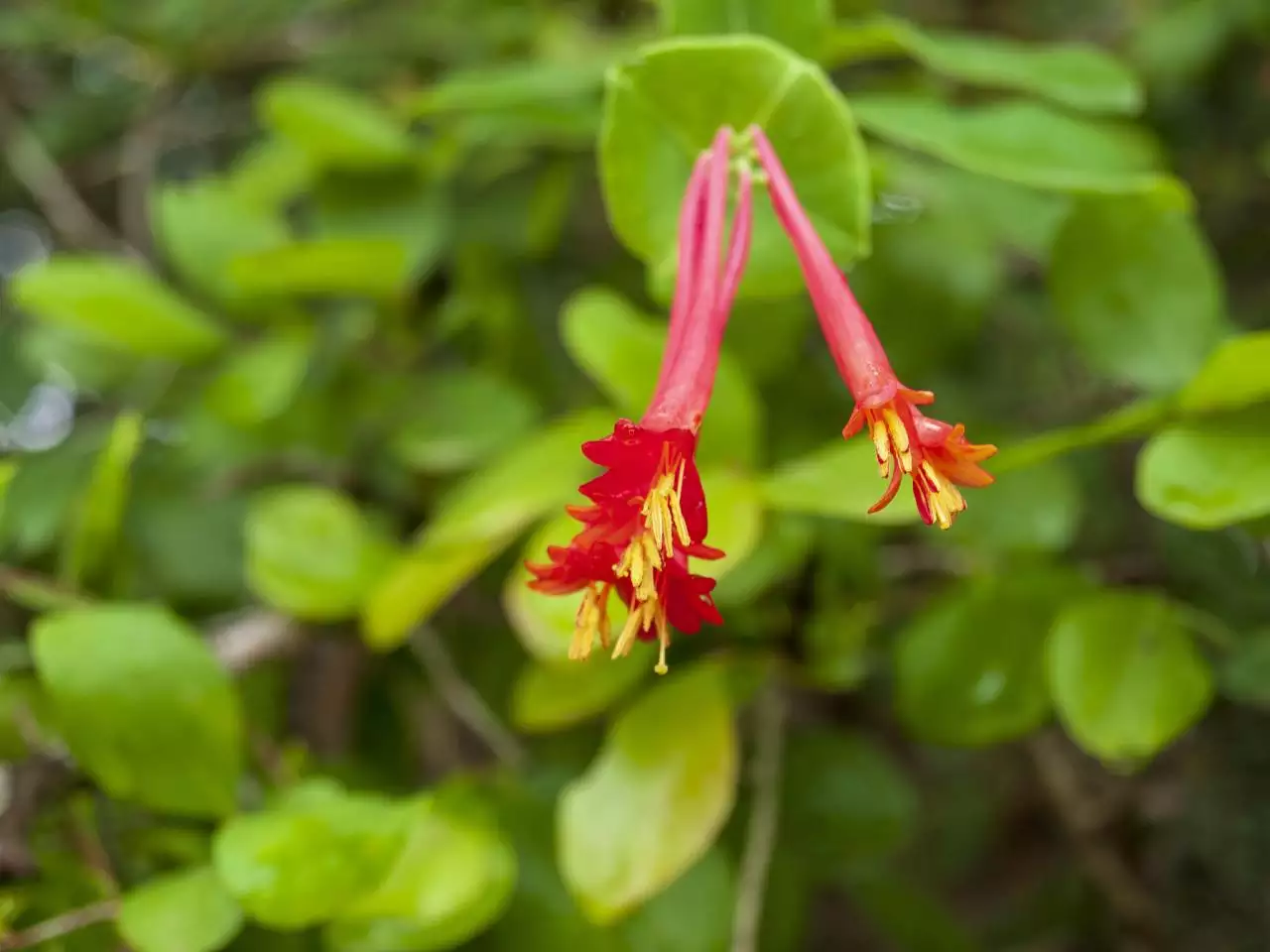 节哀顺变不能乱用 节哀的安慰词语