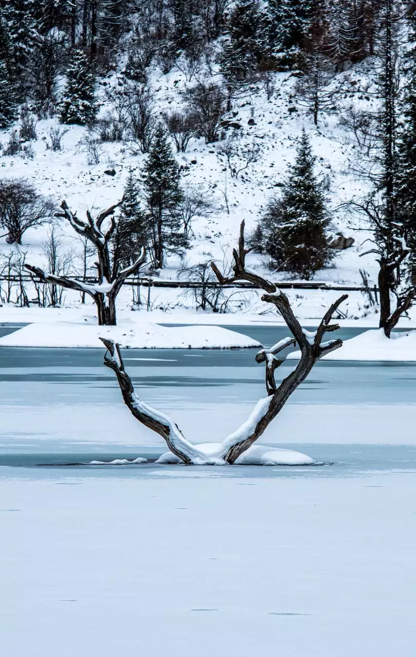 紫薇命盘免费算命2022 紫薇命盘十二宫概述