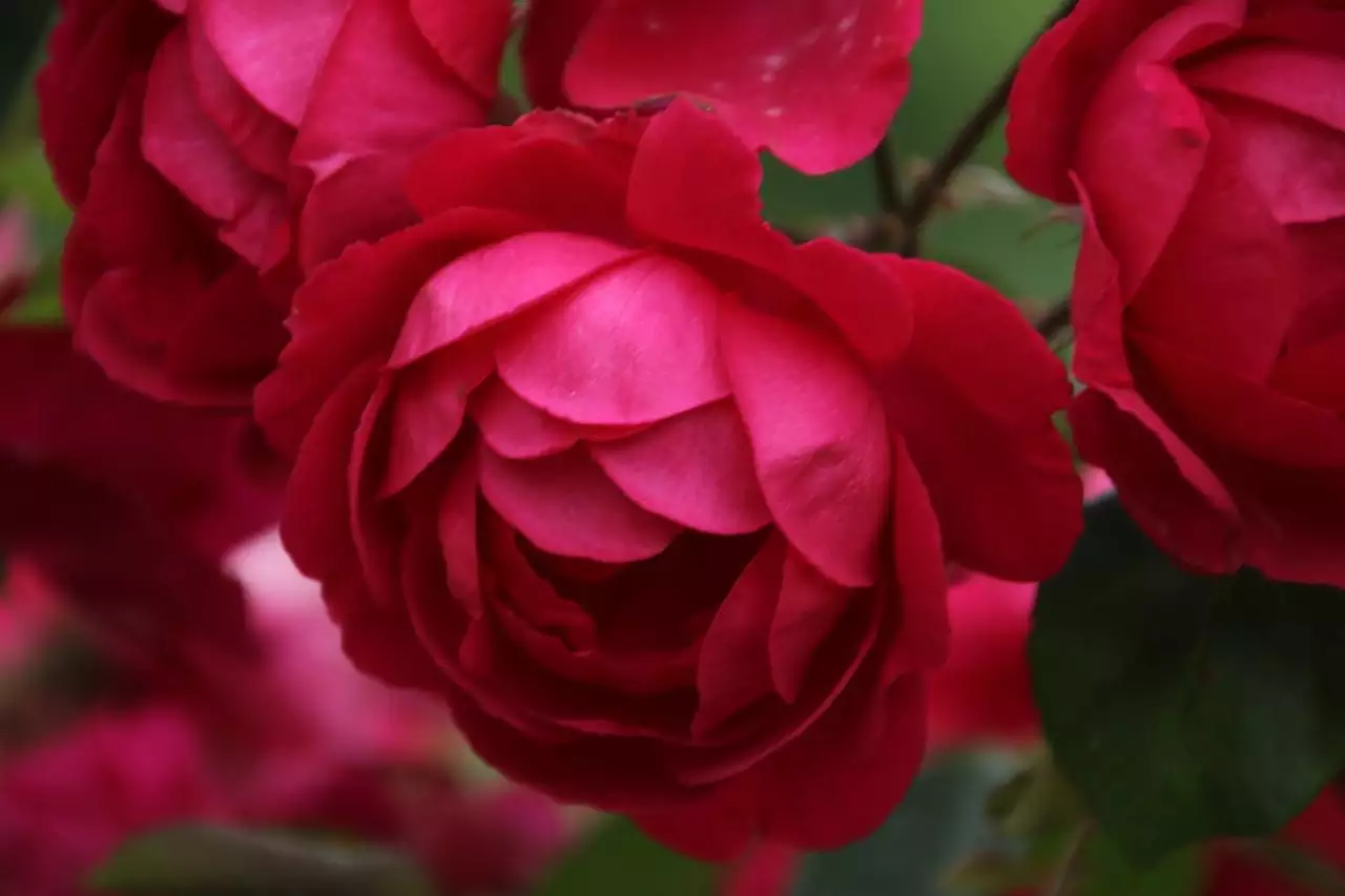 三周年上坟有什么讲究和忌讳 三周年上坟时间上有什么讲究