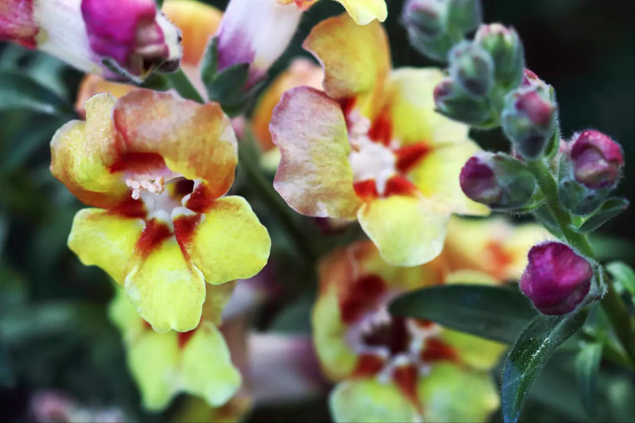 周易生辰八字算命免费测试 算命一般算农历还是阳历