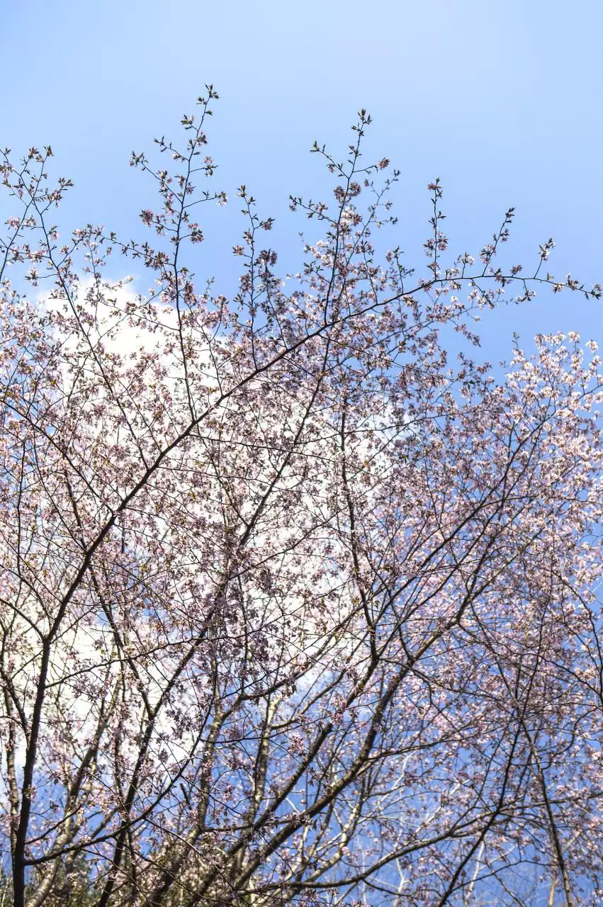 八字算命财运事业免费 八字算命算财运怎么样呢