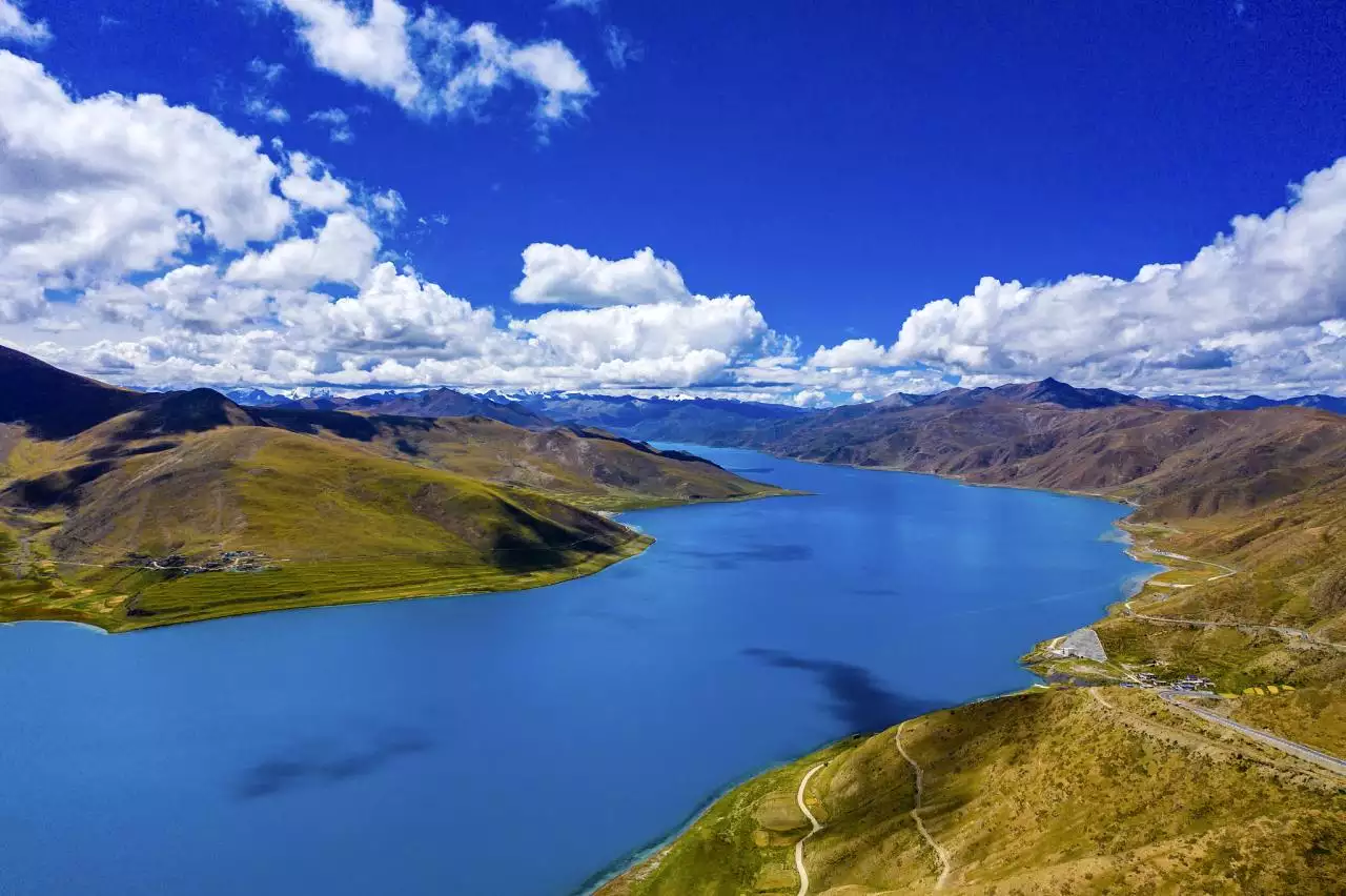 mbti十六型人格分析 mbti中最天才的两种是哪些