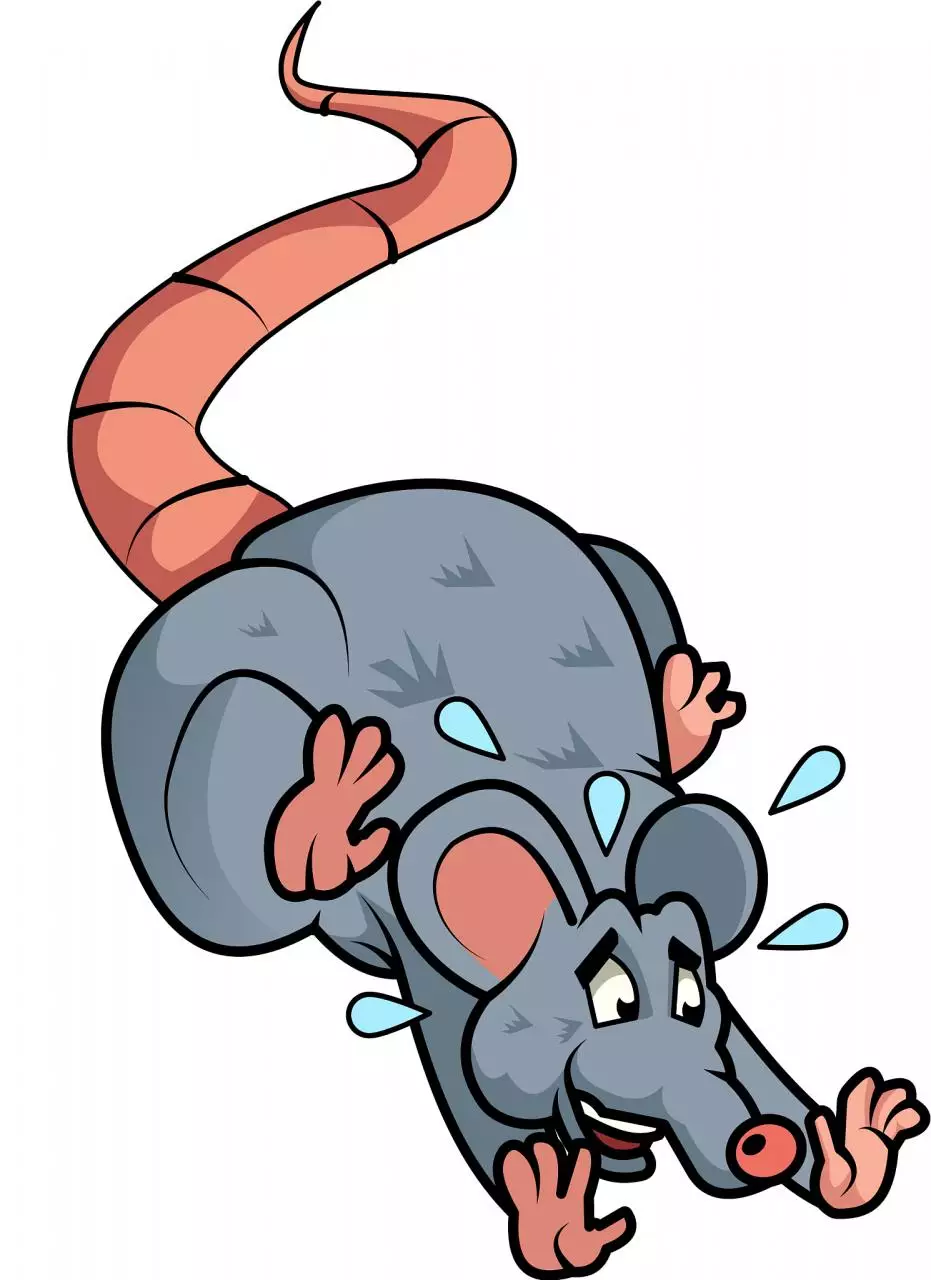 022年生肖对冲日历表