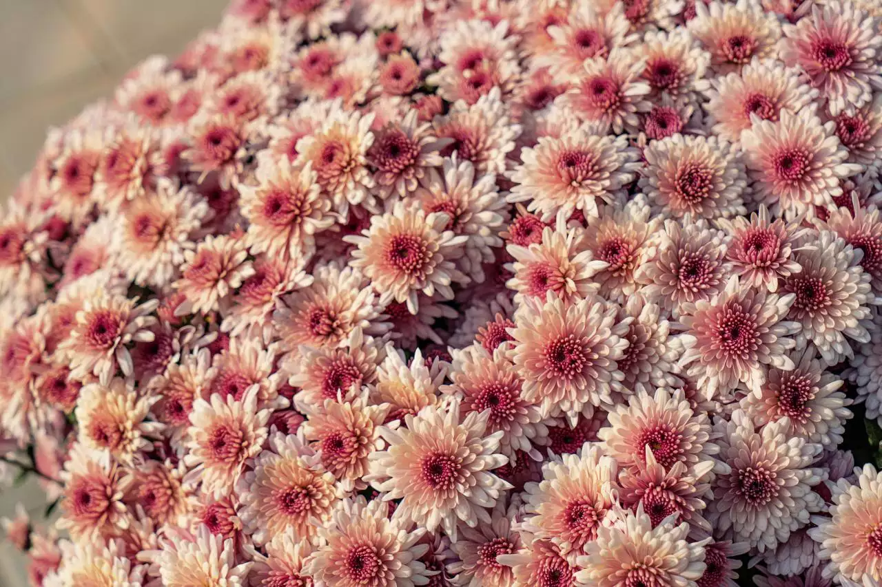 生辰八字一生几次婚姻 生辰八字算结几次婚