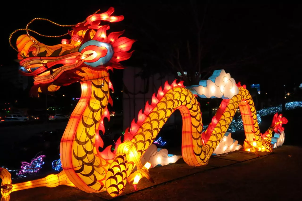 金木水火土里什么龙最好 家有龙虎是不是旺