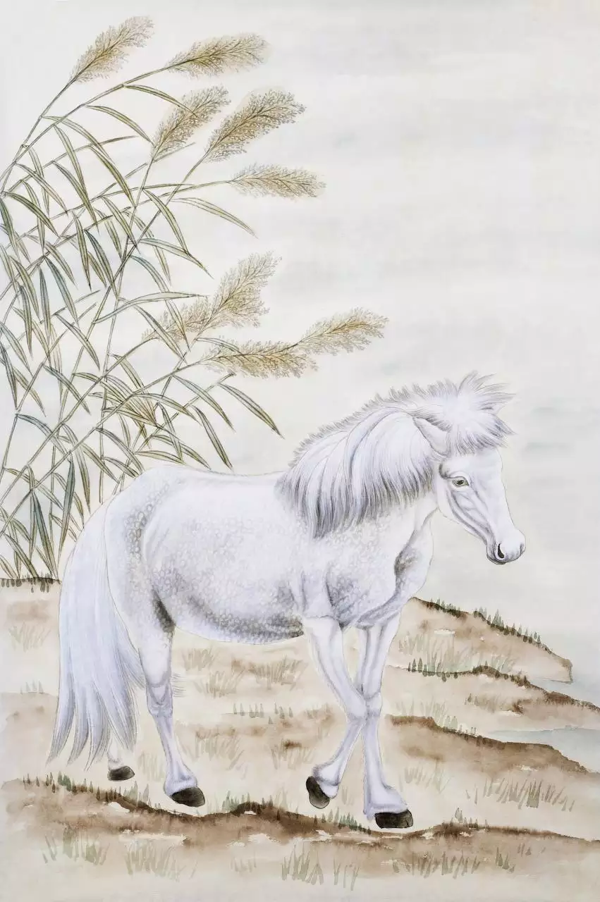 十二生肖流年运程详解 十二生肖的流年运程