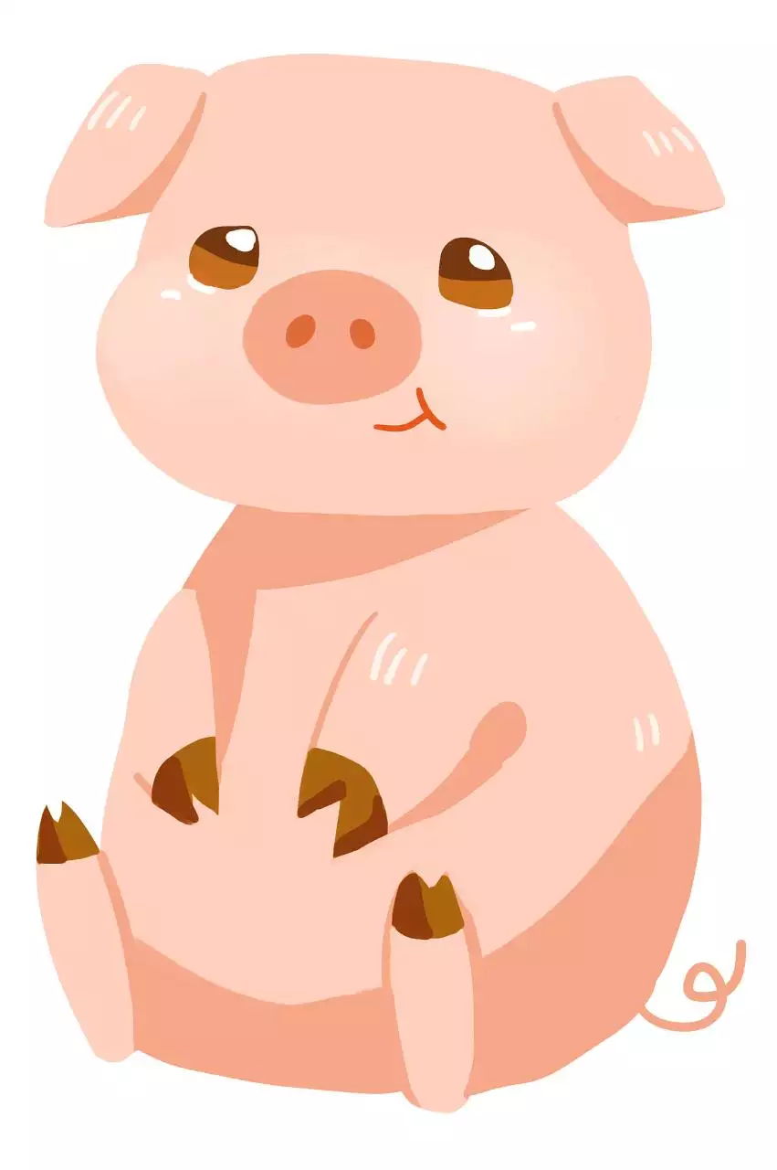 猪人在虎年2022年的运势如何 属猪人2022虎年命运