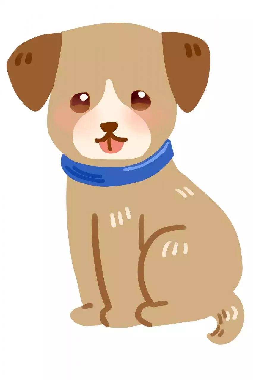 属龙三合和三冲属相 今年属龙的贵人属相