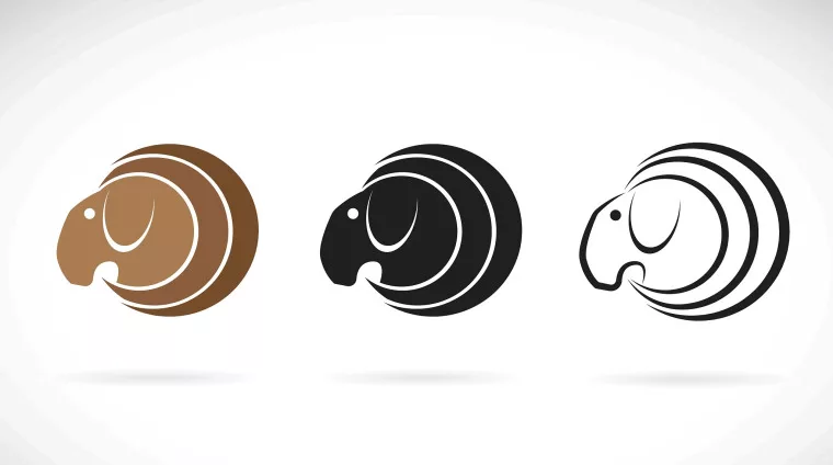 怎样查太阳和上升星座 测试自己的上升星座