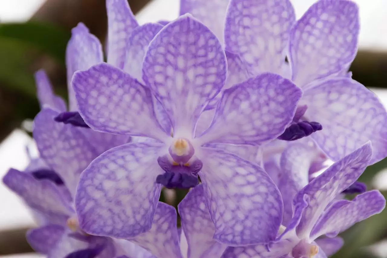 算命免费生辰八字事业 最准的八字免费算命