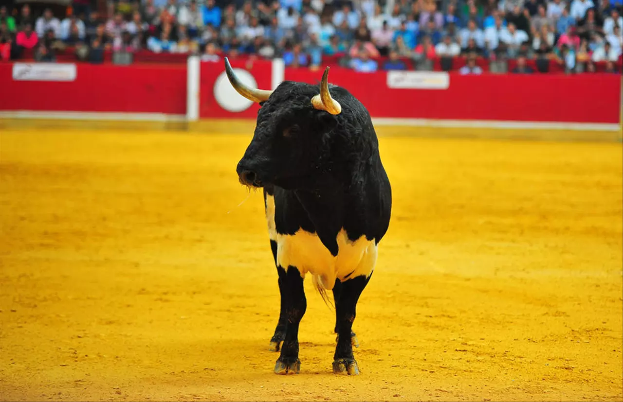 三合和六个合生肖是什么意思 生肖蛇2022年两喜缠身