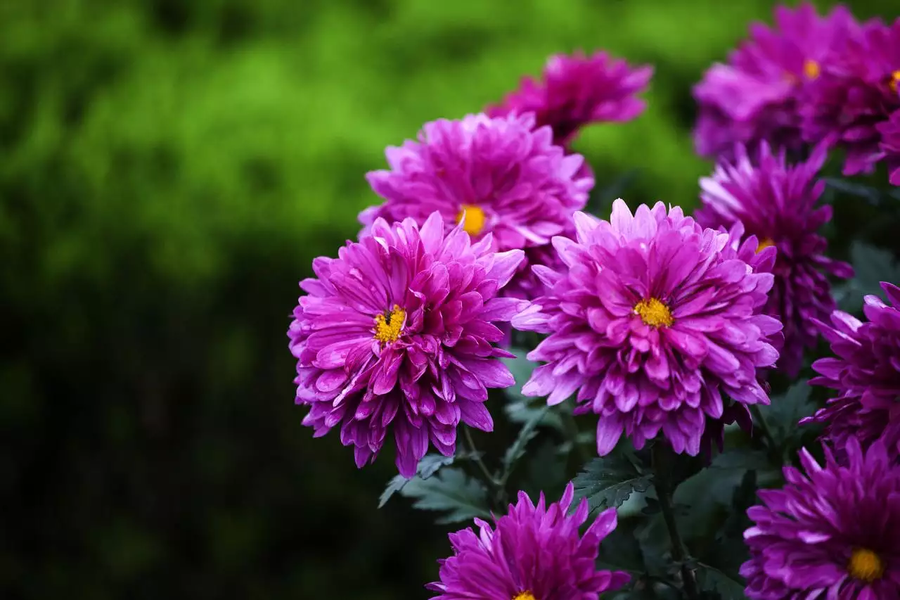 八字强弱自动计算 八字强弱旺衰的详解