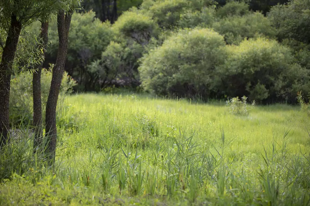 艺名女简单气质 女生艺名简单气质