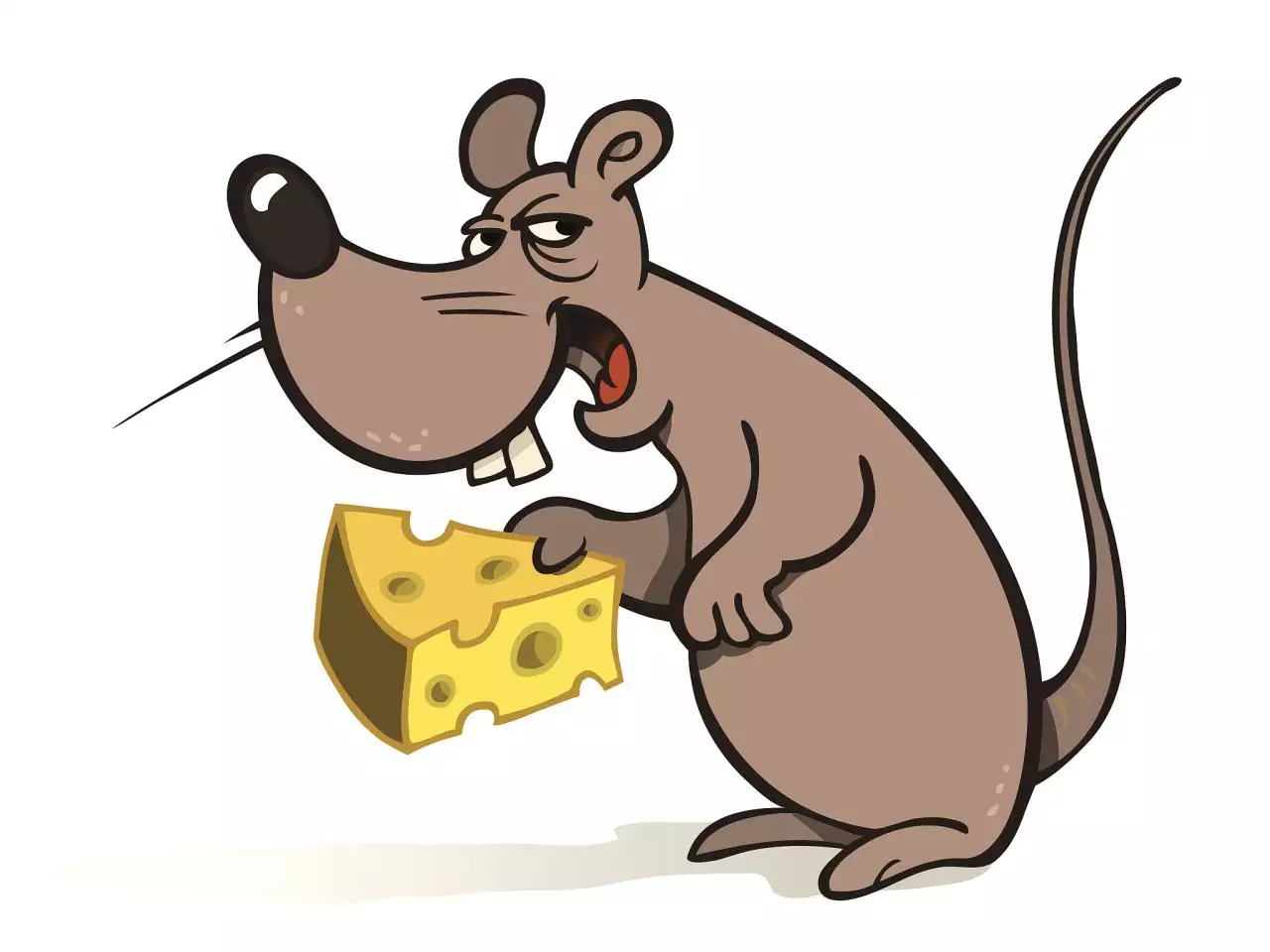 猴的三合和六个合生肖是什么 属猴三合和三冲属相