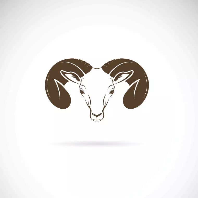 十二星座专属古风项链 十二星座漂亮专属戒指