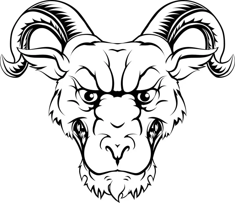 怎么看懂自己的星盘 怎么看自己的星盘