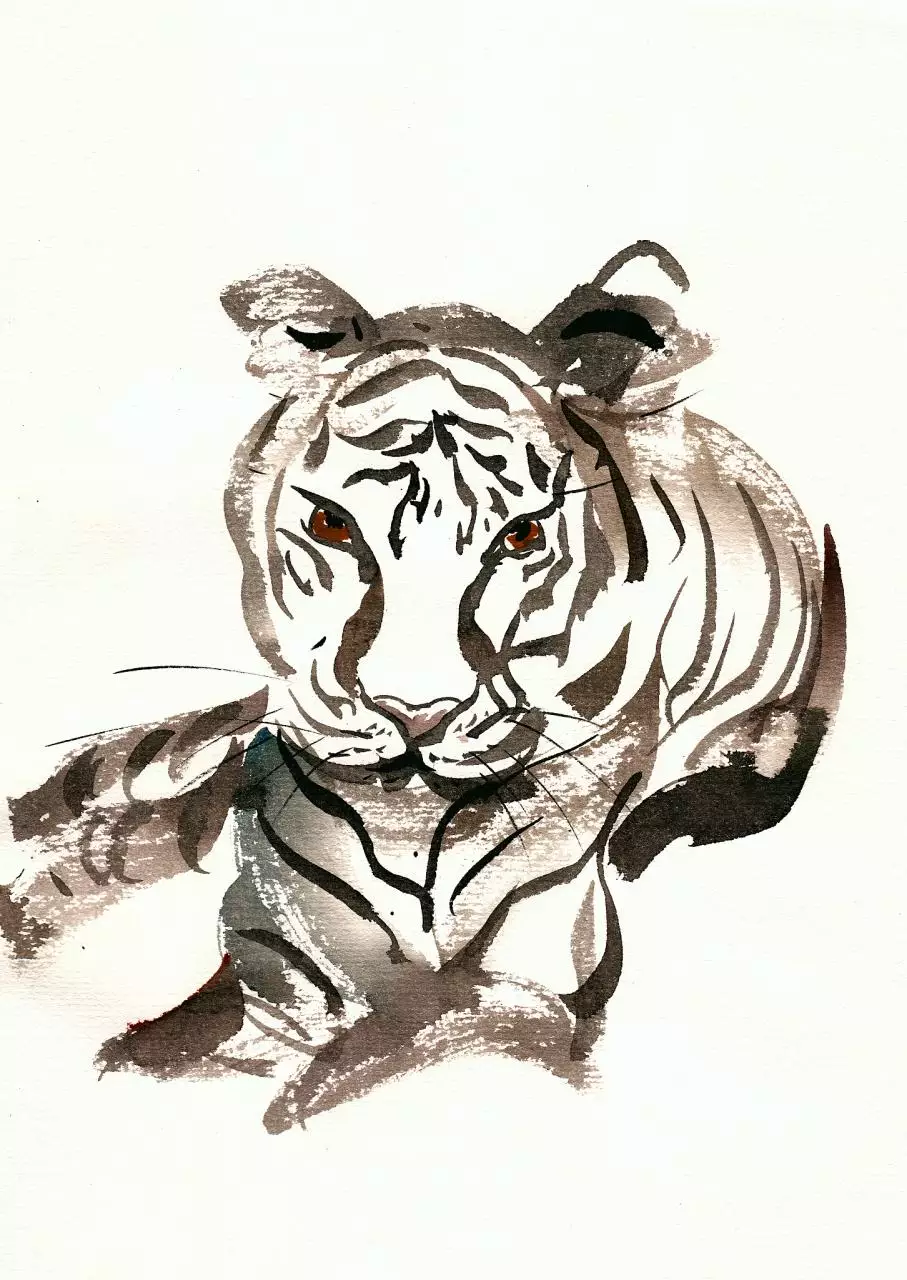 属虎的出生年份表 属虎的是哪年出生的