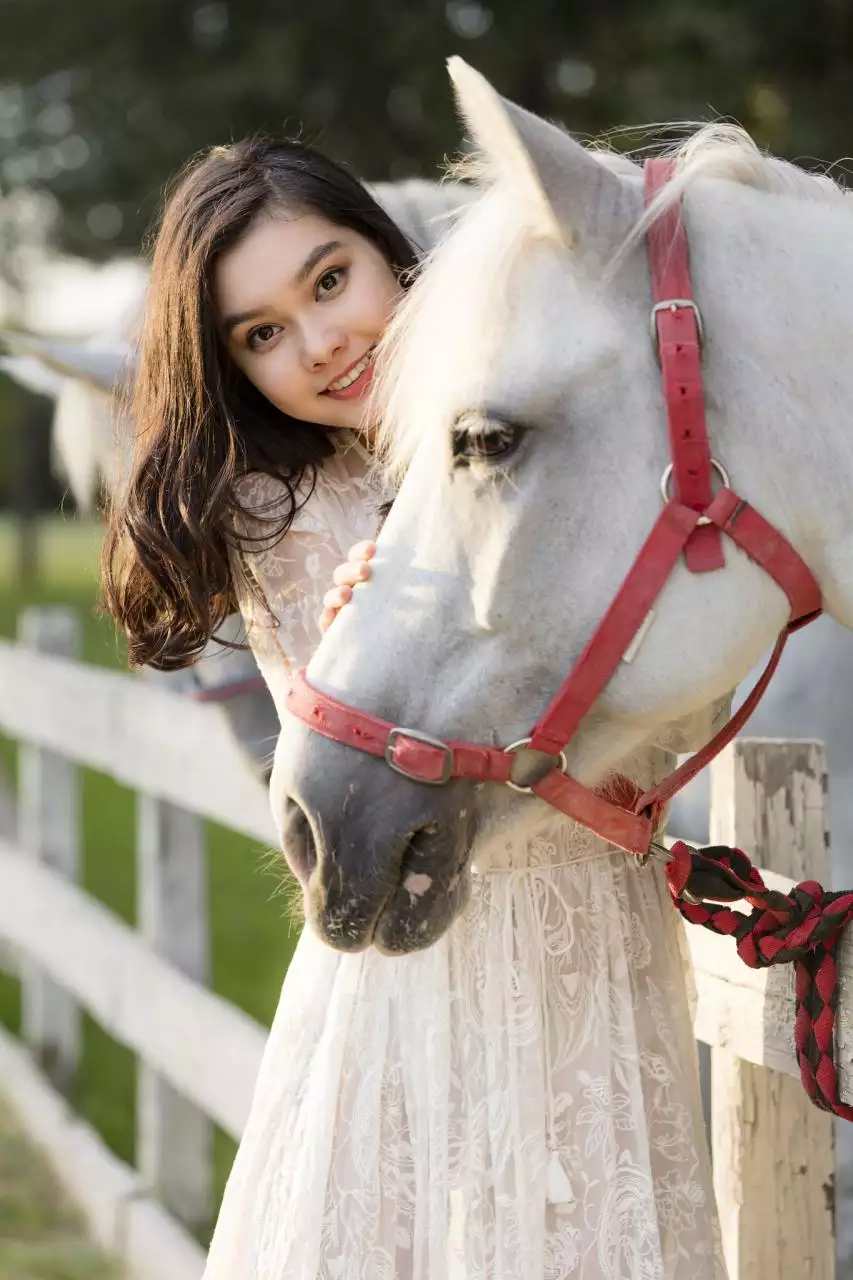 十二生肖年份对照表图 十二生肖明理