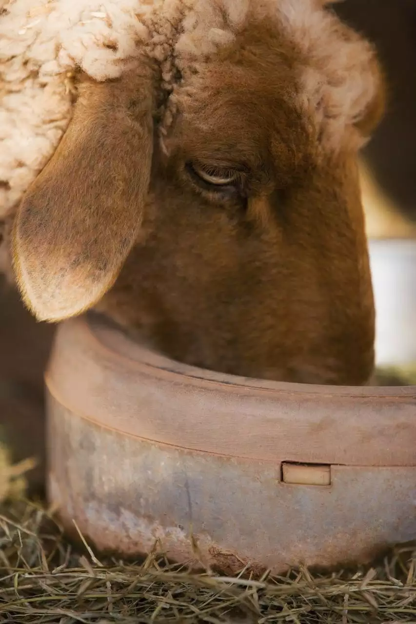 每年月份属相查询 十二生肖破月（犯月）