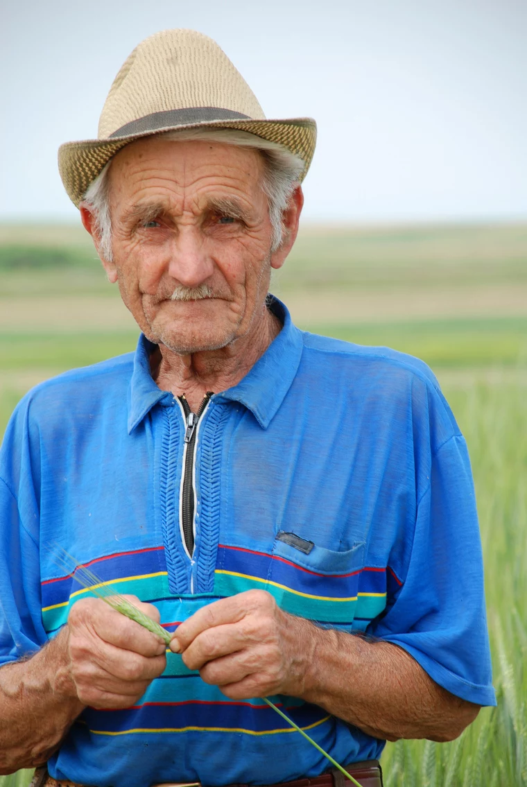 2星座配对星座屋
