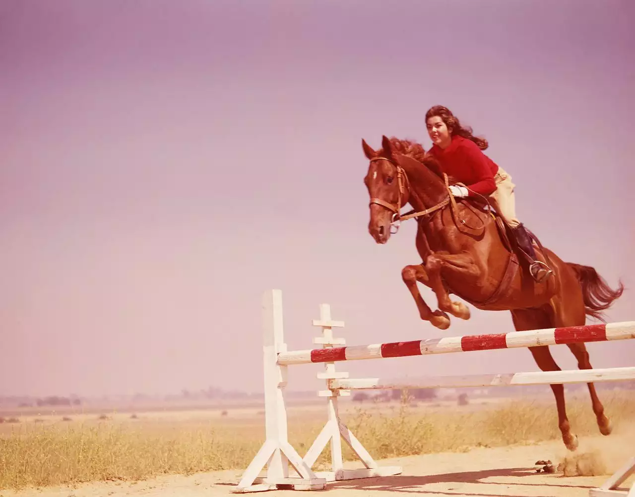 狗和什么属相相合 生肖狗的和什么生肖最配