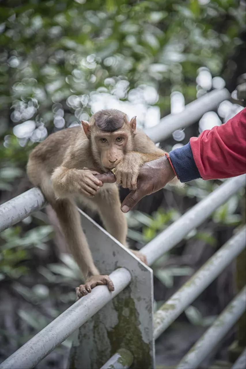十二生肖配对最佳选择 十二生肖最佳配对全部