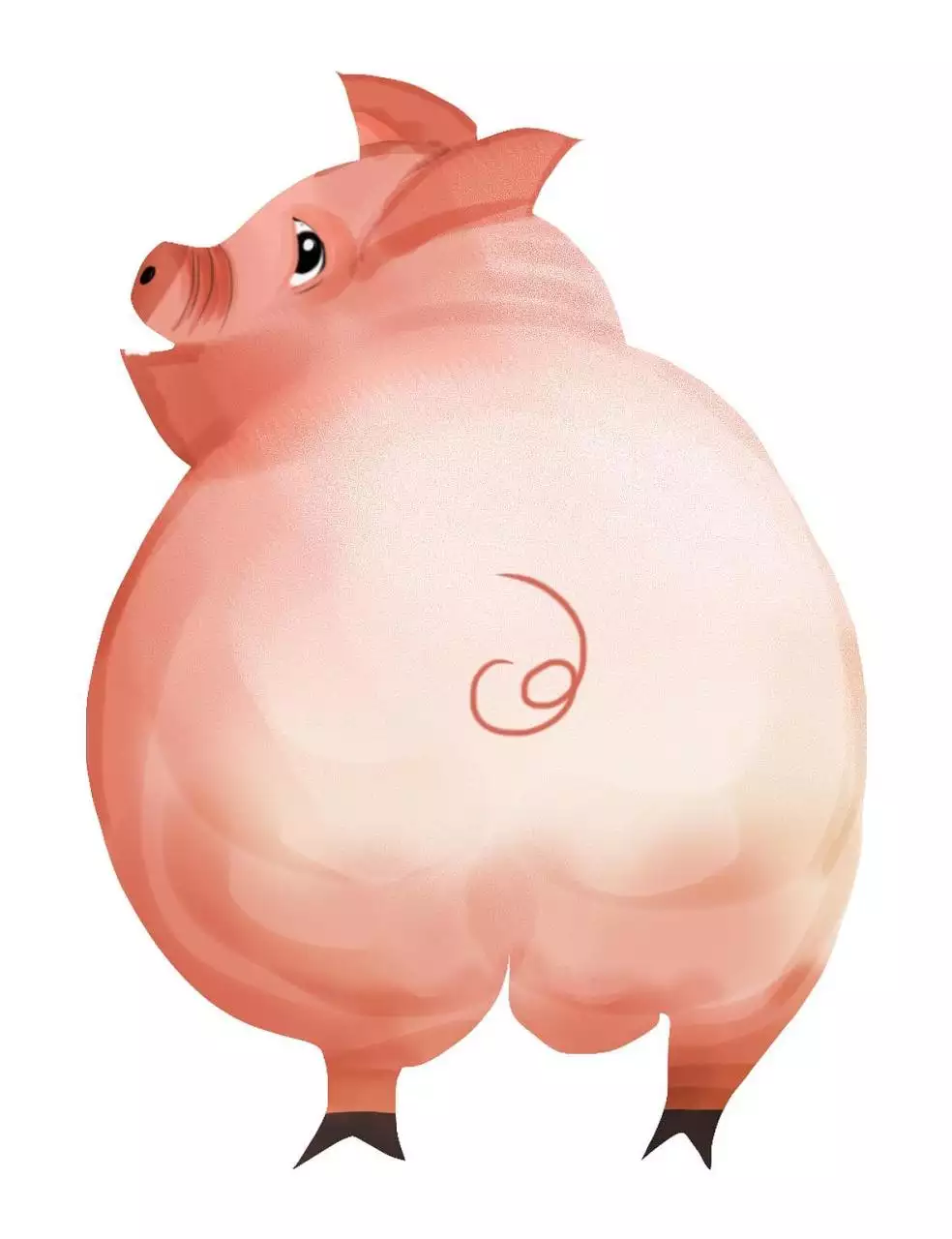 022年属猪的婚姻