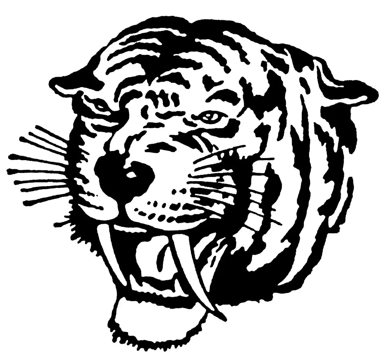 022年生肖虎运势运程